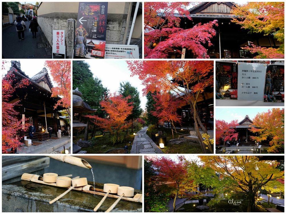▌京都賞楓▌京都賞楓景點、賞楓行程【 東福寺、金戒光明寺、一休寺、毘沙門堂、勝林寺】