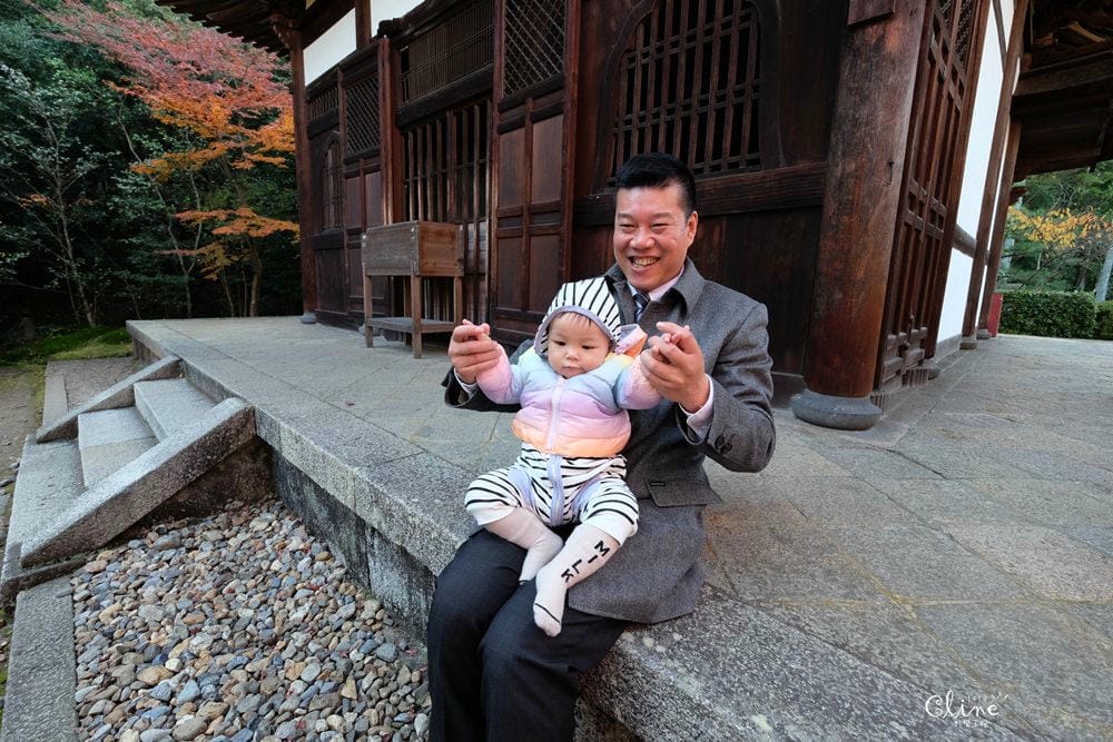▌京都賞楓▌京都賞楓景點、賞楓行程【 東福寺、金戒光明寺、一休寺、毘沙門堂、勝林寺】
