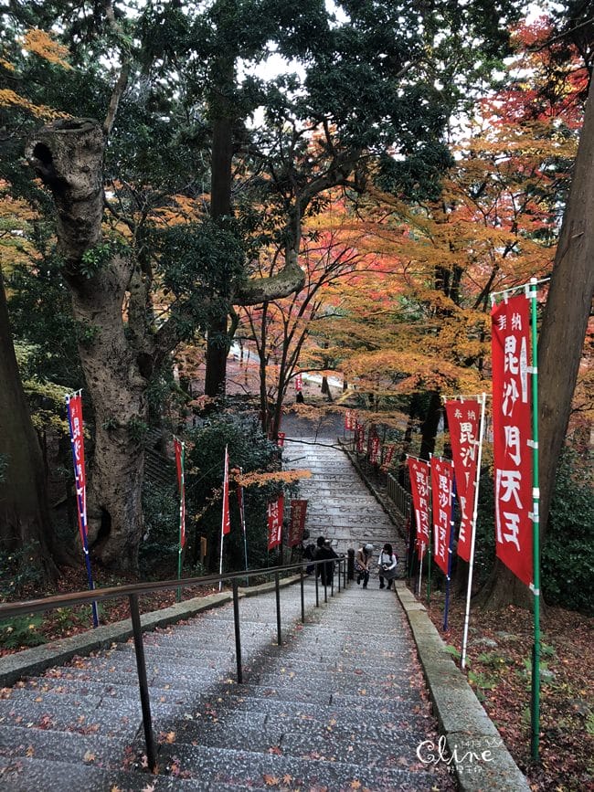 ▌京都賞楓▌京都賞楓景點、賞楓行程【 東福寺、金戒光明寺、一休寺、毘沙門堂、勝林寺】