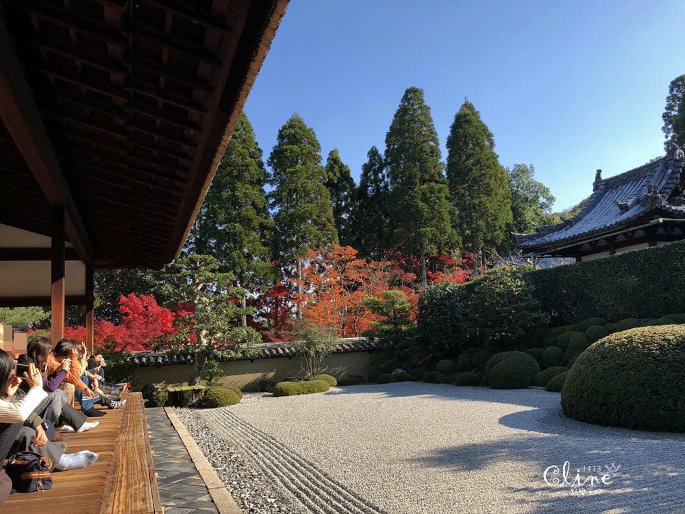 ▌京都賞楓▌京都賞楓景點、賞楓行程【 東福寺、金戒光明寺、一休寺、毘沙門堂、勝林寺】