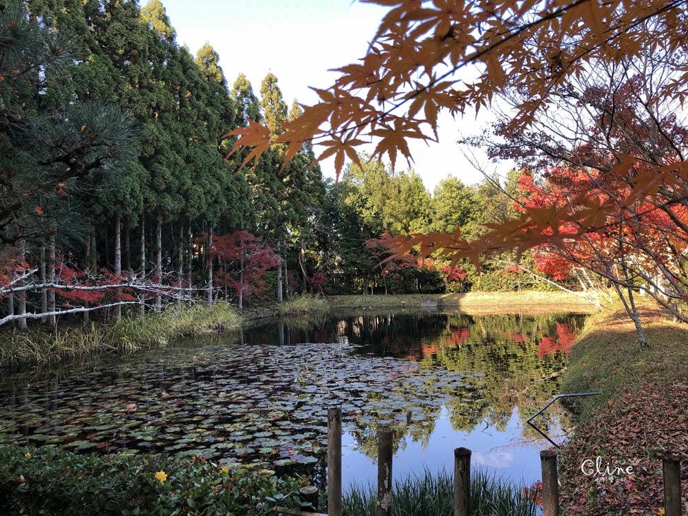 ▌京都賞楓▌京都賞楓景點、賞楓行程【 東福寺、金戒光明寺、一休寺、毘沙門堂、勝林寺】
