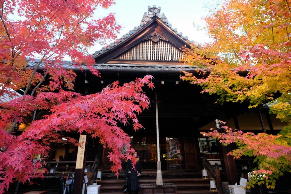▌京都賞楓▌京都賞楓景點、賞楓行程【 東福寺、金戒光明寺、一休寺、毘沙門堂、勝林寺】
