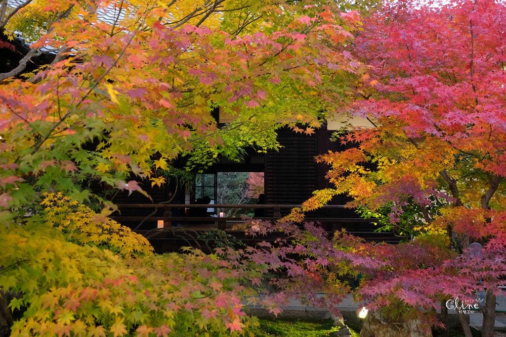 ▌京都賞楓▌京都賞楓景點、賞楓行程【 東福寺、金戒光明寺、一休寺、毘沙門堂、勝林寺】