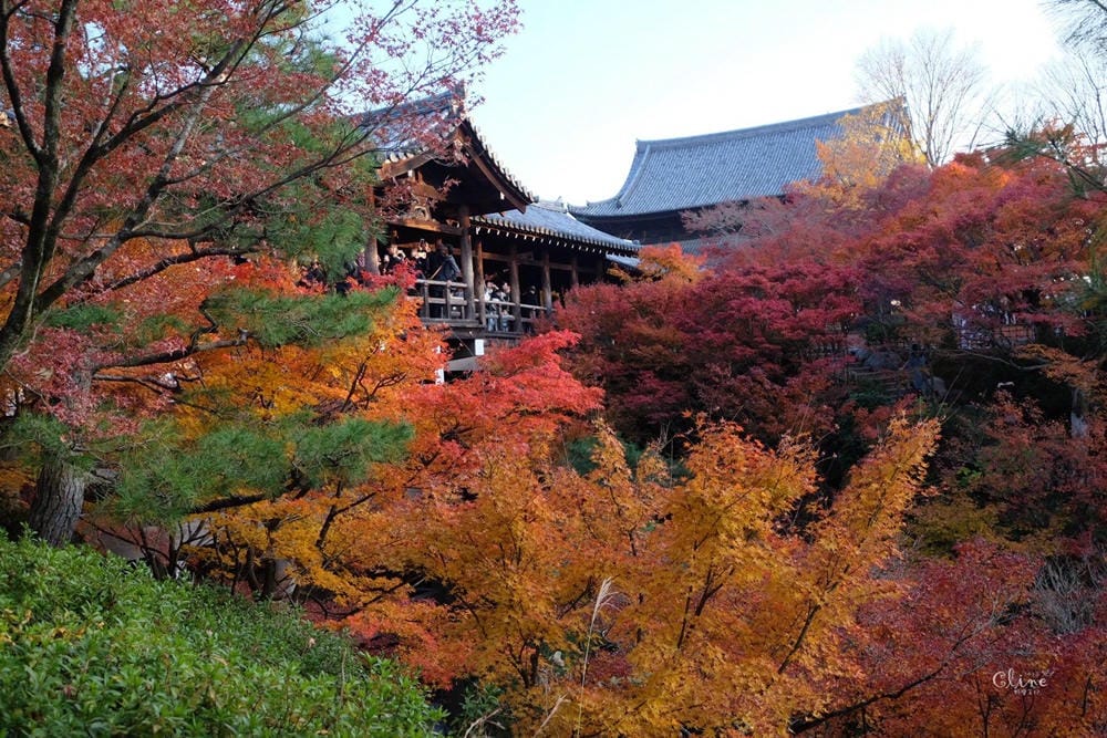 ▌京都賞楓▌京都賞楓景點、賞楓行程【 東福寺、金戒光明寺、一休寺、毘沙門堂、勝林寺】