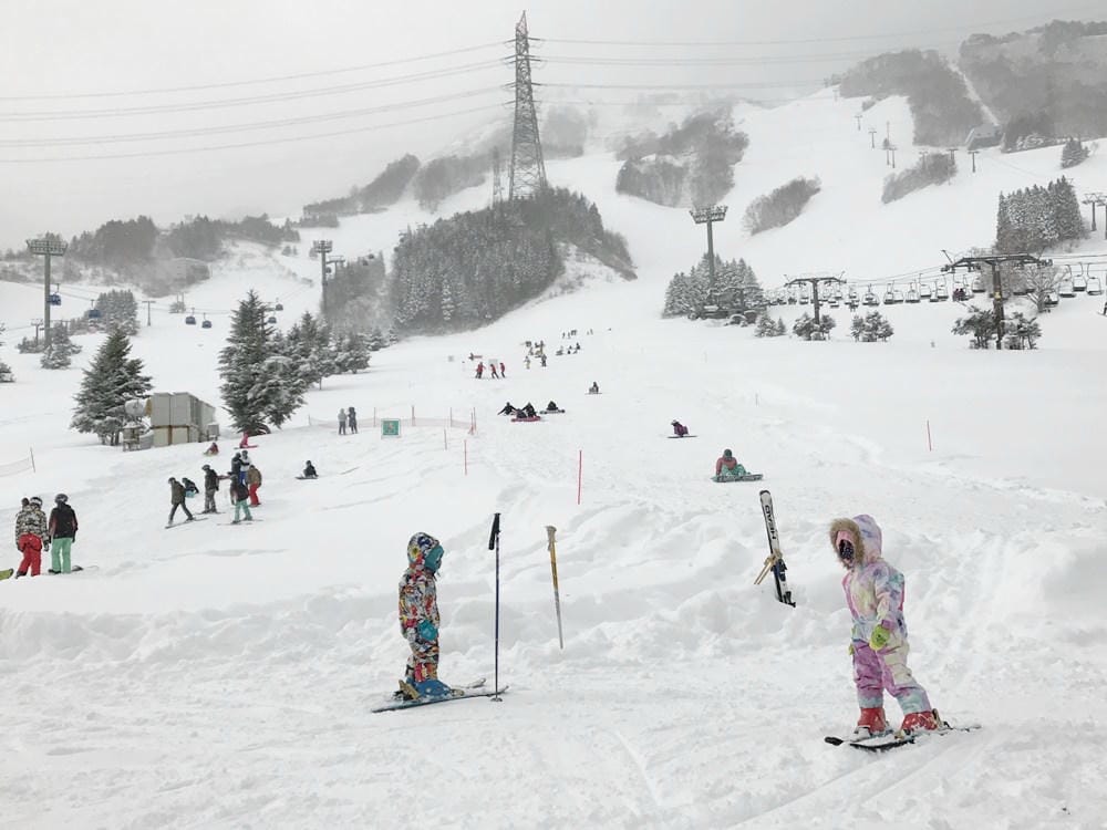 ▌日本滑雪自由行▌苗場王子大飯店x日本滑雪中毒者教練推薦必訪親子滑雪勝地(雪具裝備免煩惱)
