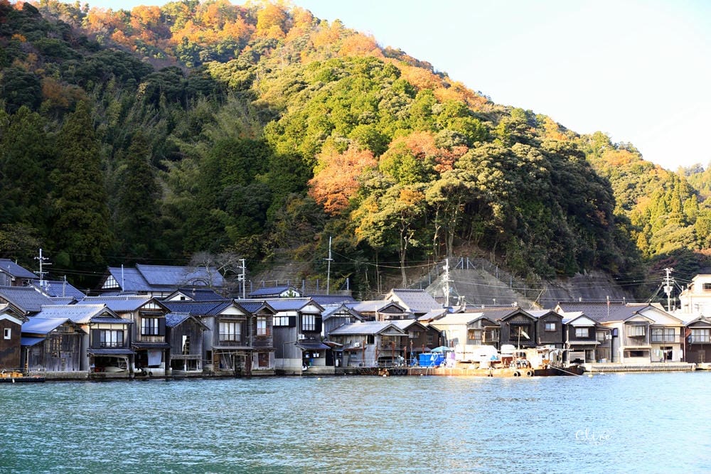 ▌京都賞楓自由行▌伊根州屋、美山、天橋立包車一日遊