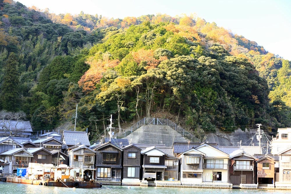 ▌京都賞楓自由行▌伊根州屋、美山、天橋立包車一日遊