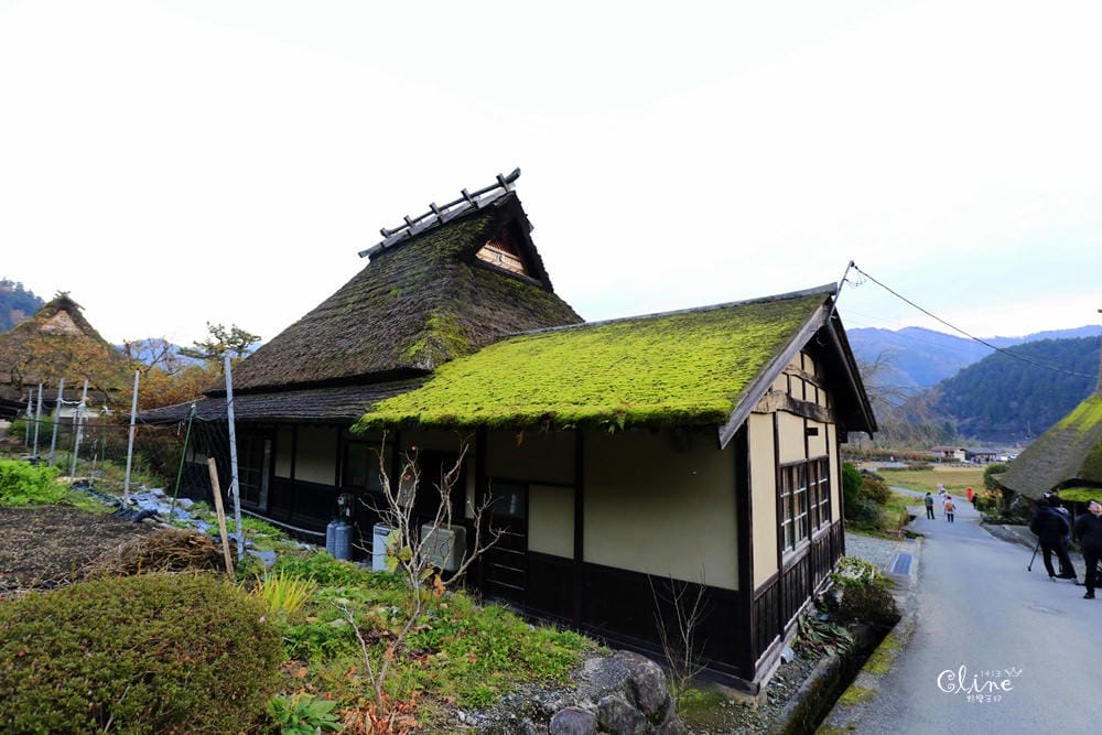 ▌京都賞楓自由行▌伊根州屋、美山、天橋立包車一日遊