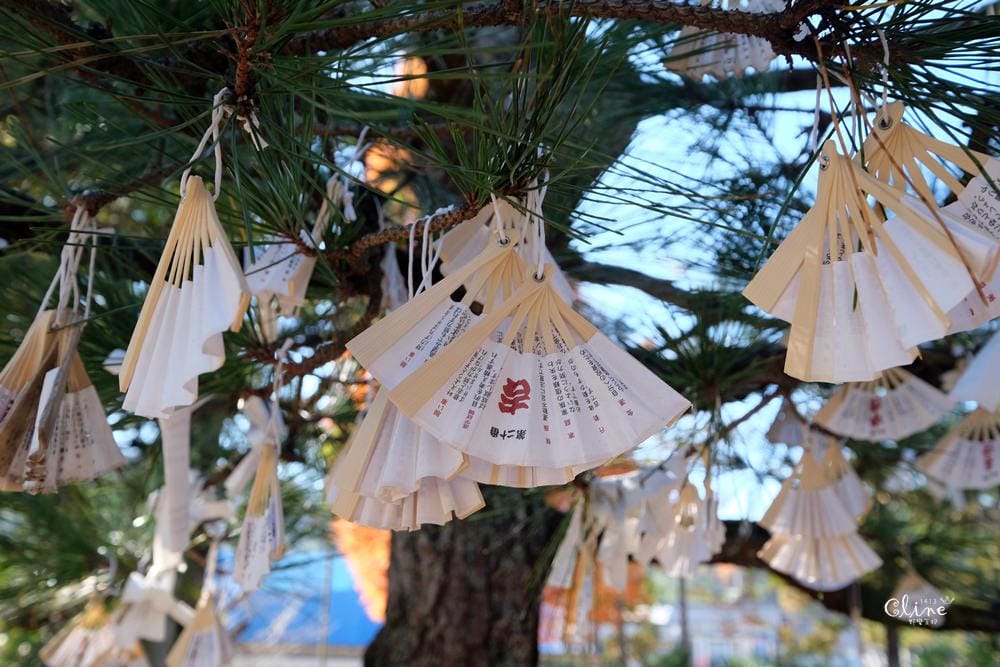 ▌京都天橋立▌日本三景【天橋立】一日遊行程分享
