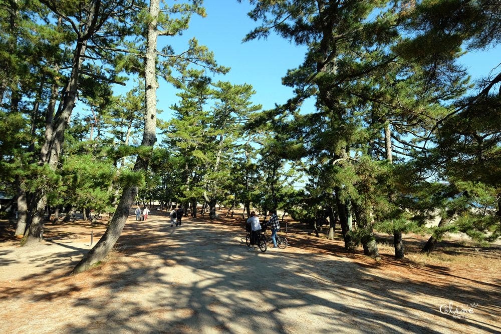 ▌京都天橋立▌日本三景【天橋立】一日遊行程分享