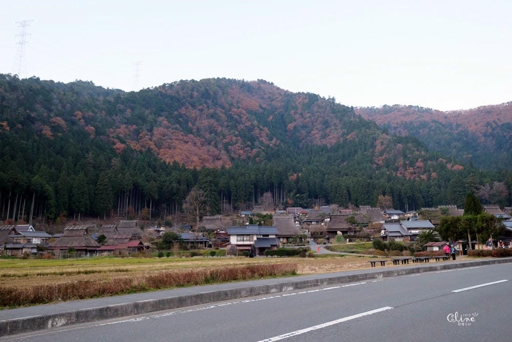 ▌京都賞楓自由行▌伊根州屋、美山、天橋立包車一日遊