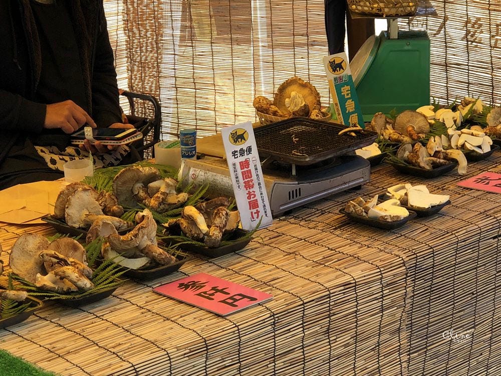 ▌京都天橋立▌日本三景【天橋立】一日遊行程分享