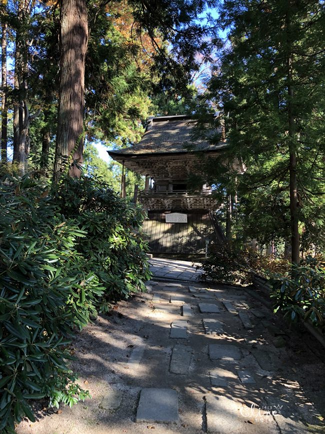 京都賞楓自由行 伊根州屋 美山 天橋立包車一日遊 野蠻王妃愛漂亮