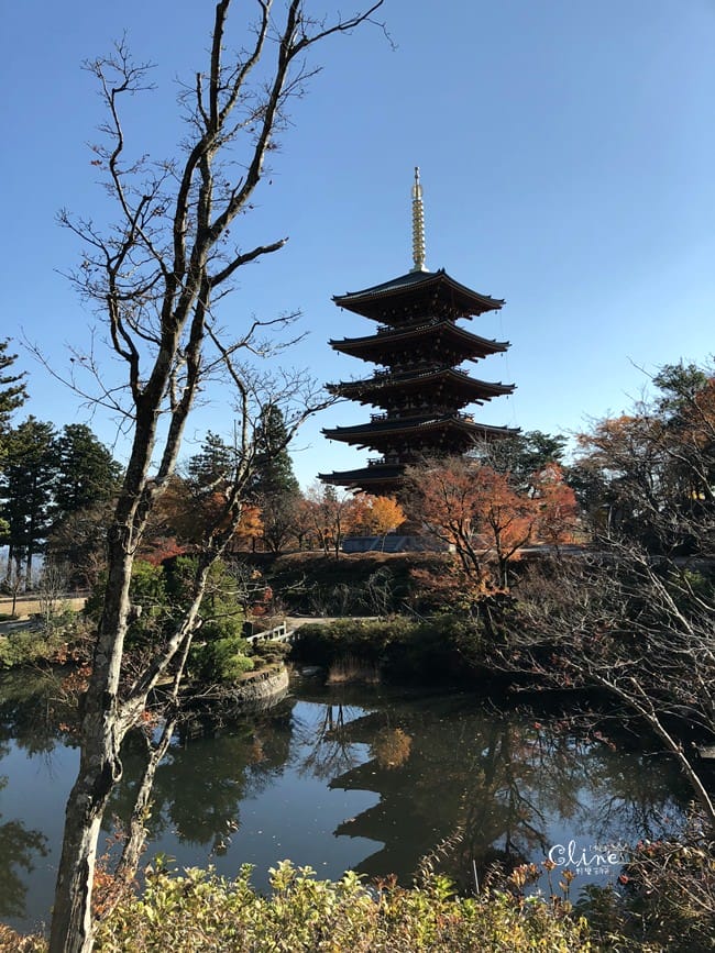 ▌京都賞楓自由行▌伊根州屋、美山、天橋立包車一日遊