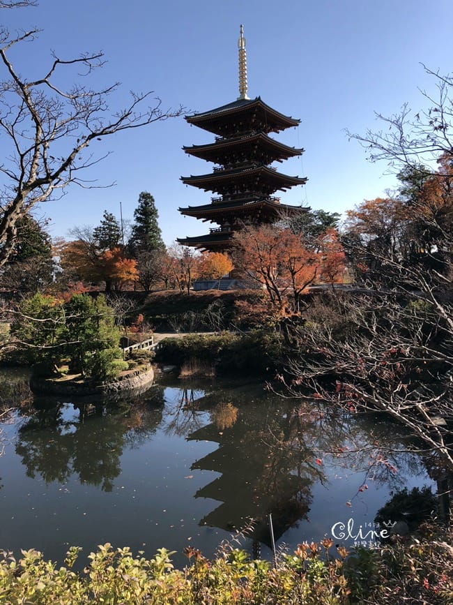 ▌京都賞楓自由行▌伊根州屋、美山、天橋立包車一日遊