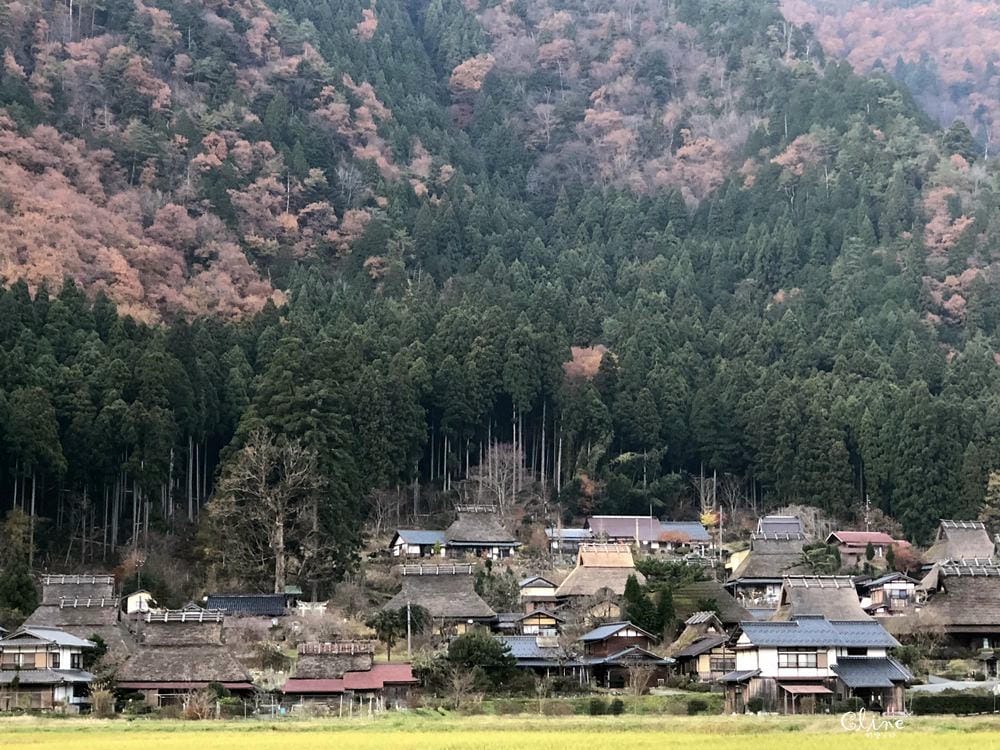 ▌京都賞楓自由行▌伊根州屋、美山、天橋立包車一日遊