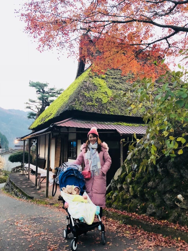 ▌京都賞楓自由行▌伊根州屋、美山、天橋立包車一日遊
