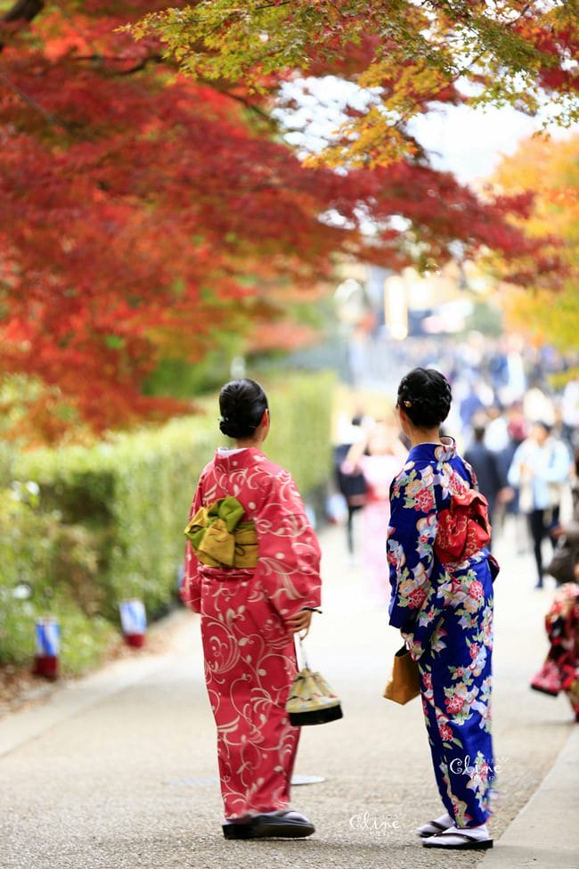 【2017京都賞楓自由行】京都嵐山小火車、嵐山公園、常寂光寺賞楓半日遊 - 第68張圖 【2017京都賞楓自由行】京都嵐山小火車、嵐山公園、常寂光寺賞楓半日遊