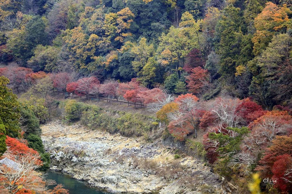 【2017京都賞楓自由行】京都嵐山小火車、嵐山公園、常寂光寺賞楓半日遊 - 第32張圖 【2017京都賞楓自由行】京都嵐山小火車、嵐山公園、常寂光寺賞楓半日遊