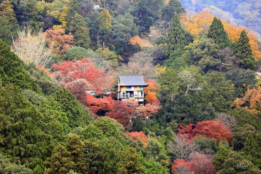 【2017京都賞楓自由行】京都嵐山小火車、嵐山公園、常寂光寺賞楓半日遊 - 第41張圖 【2017京都賞楓自由行】京都嵐山小火車、嵐山公園、常寂光寺賞楓半日遊