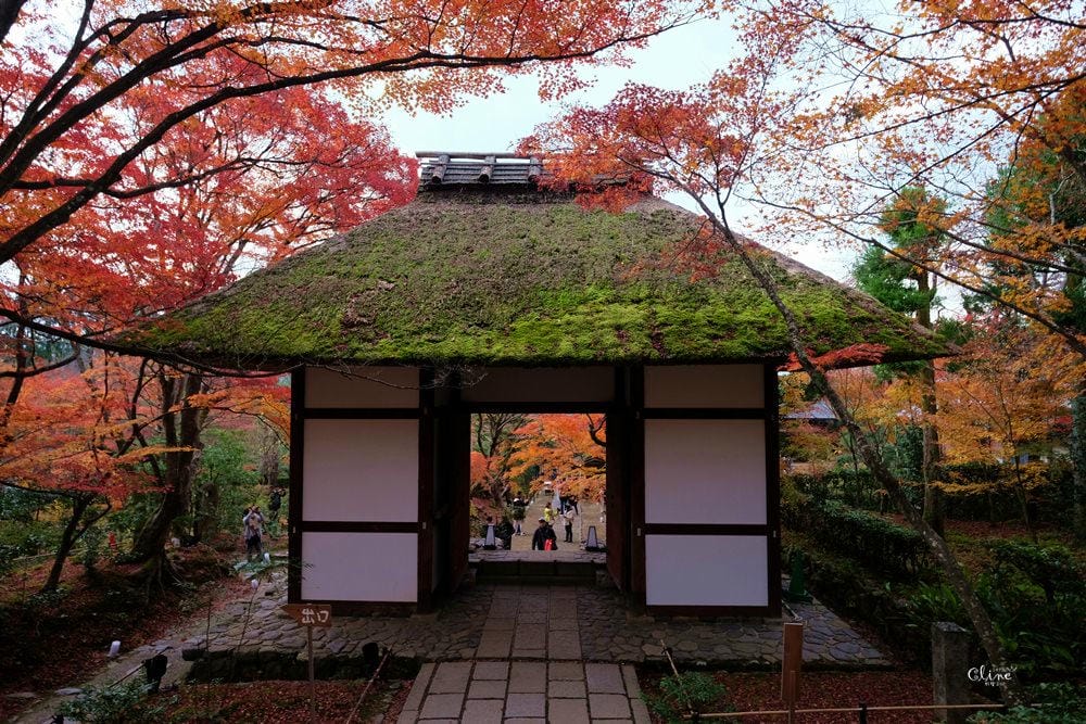 【2017京都賞楓自由行】京都嵐山小火車、嵐山公園、常寂光寺賞楓半日遊 - 第62張圖 【2017京都賞楓自由行】京都嵐山小火車、嵐山公園、常寂光寺賞楓半日遊