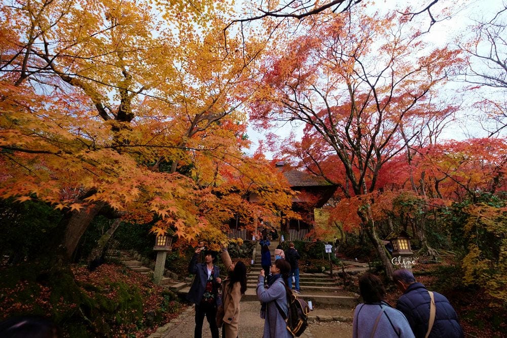 【2017京都賞楓自由行】京都嵐山小火車、嵐山公園、常寂光寺賞楓半日遊 - 第58張圖 【2017京都賞楓自由行】京都嵐山小火車、嵐山公園、常寂光寺賞楓半日遊