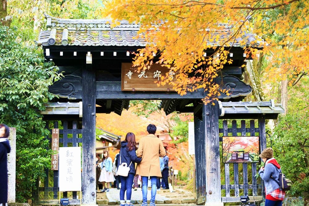 【2017京都賞楓自由行】京都嵐山小火車、嵐山公園、常寂光寺賞楓半日遊 - 第56張圖 【2017京都賞楓自由行】京都嵐山小火車、嵐山公園、常寂光寺賞楓半日遊