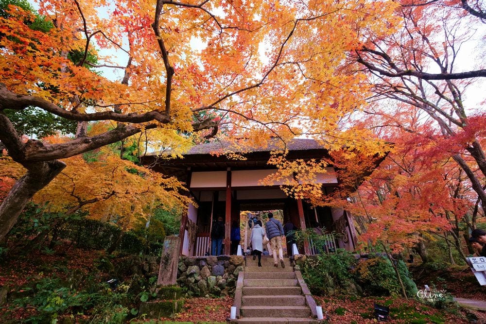 【2017京都賞楓自由行】京都嵐山小火車、嵐山公園、常寂光寺賞楓半日遊 - 第60張圖 【2017京都賞楓自由行】京都嵐山小火車、嵐山公園、常寂光寺賞楓半日遊