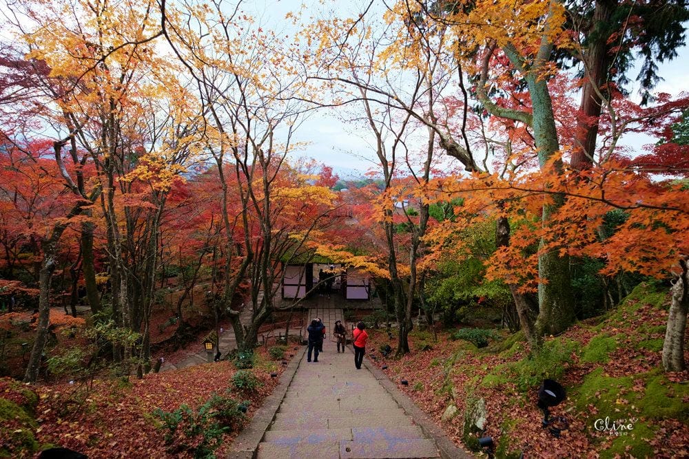 【2017京都賞楓自由行】京都嵐山小火車、嵐山公園、常寂光寺賞楓半日遊 - 第64張圖 【2017京都賞楓自由行】京都嵐山小火車、嵐山公園、常寂光寺賞楓半日遊