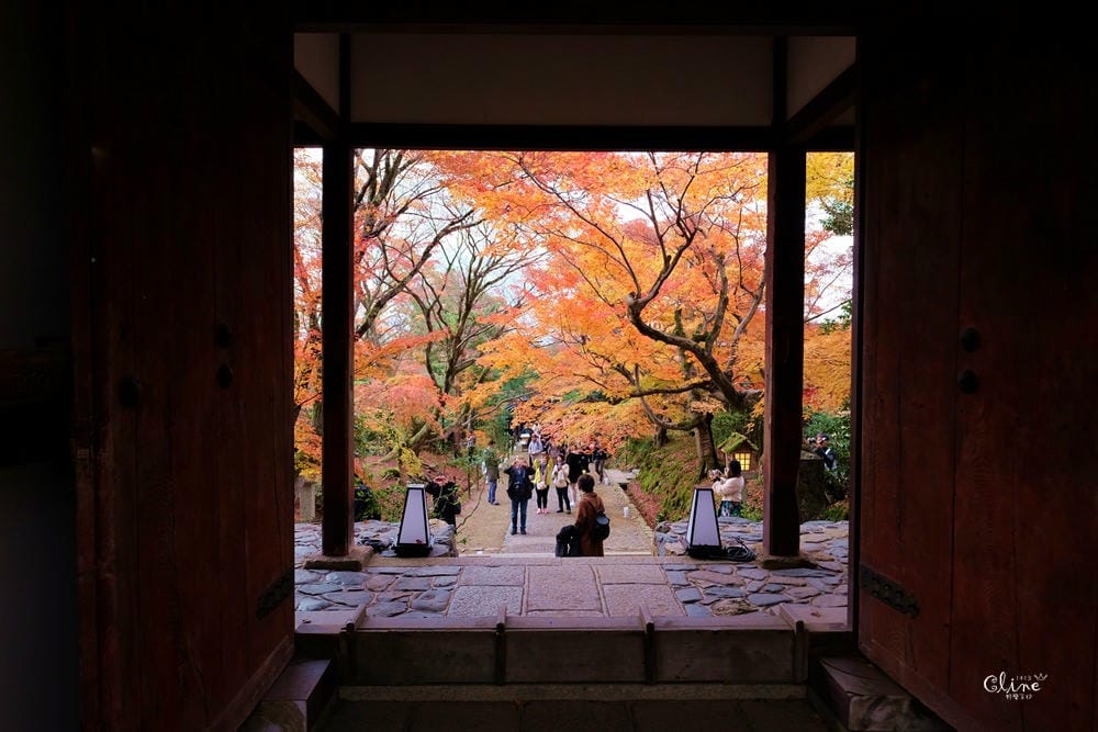 【2017京都賞楓自由行】京都嵐山小火車、嵐山公園、常寂光寺賞楓半日遊 - 第63張圖 【2017京都賞楓自由行】京都嵐山小火車、嵐山公園、常寂光寺賞楓半日遊