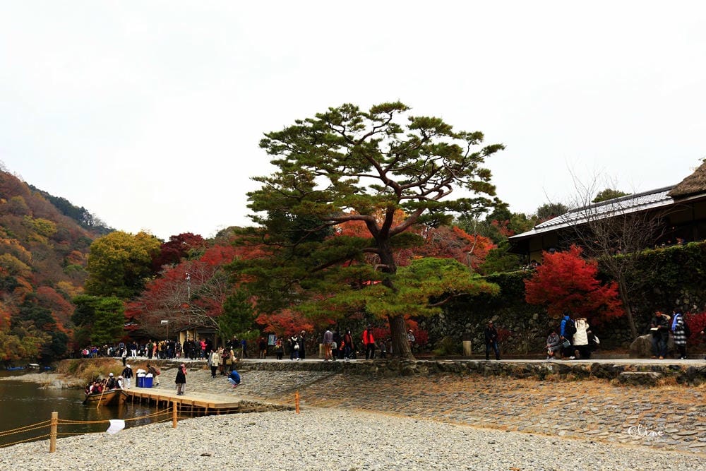 【2017京都賞楓自由行】京都嵐山小火車、嵐山公園、常寂光寺賞楓半日遊 - 第18張圖 【2017京都賞楓自由行】京都嵐山小火車、嵐山公園、常寂光寺賞楓半日遊