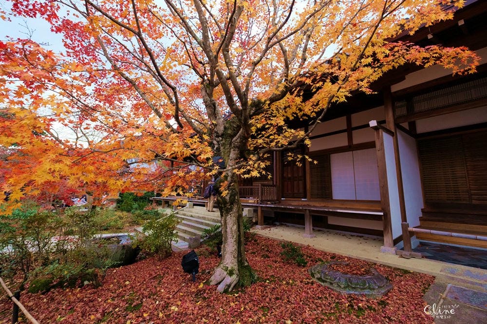 【2017京都賞楓自由行】京都嵐山小火車、嵐山公園、常寂光寺賞楓半日遊 - 第66張圖 【2017京都賞楓自由行】京都嵐山小火車、嵐山公園、常寂光寺賞楓半日遊