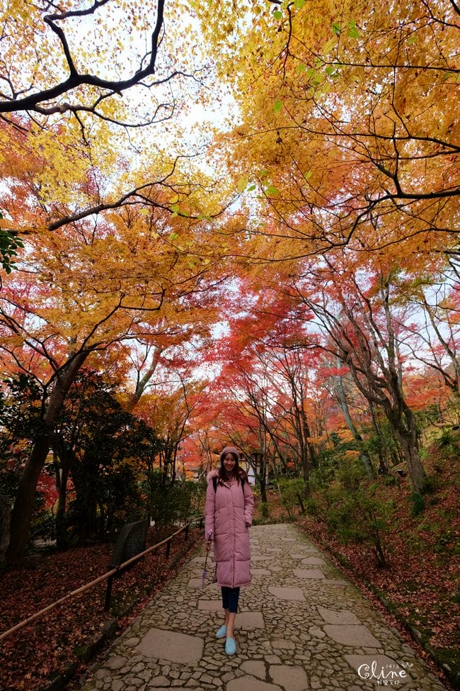 【2017京都賞楓自由行】京都嵐山小火車、嵐山公園、常寂光寺賞楓半日遊 - 第65張圖 【2017京都賞楓自由行】京都嵐山小火車、嵐山公園、常寂光寺賞楓半日遊