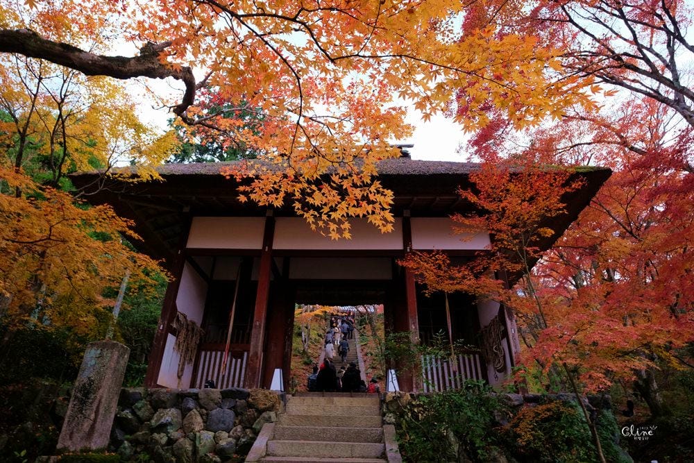 【2017京都賞楓自由行】京都嵐山小火車、嵐山公園、常寂光寺賞楓半日遊 - 第61張圖 【2017京都賞楓自由行】京都嵐山小火車、嵐山公園、常寂光寺賞楓半日遊