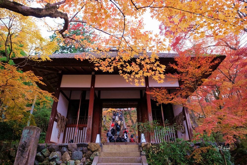 【2017京都賞楓自由行】京都嵐山小火車、嵐山公園、常寂光寺賞楓半日遊 - 第59張圖 【2017京都賞楓自由行】京都嵐山小火車、嵐山公園、常寂光寺賞楓半日遊
