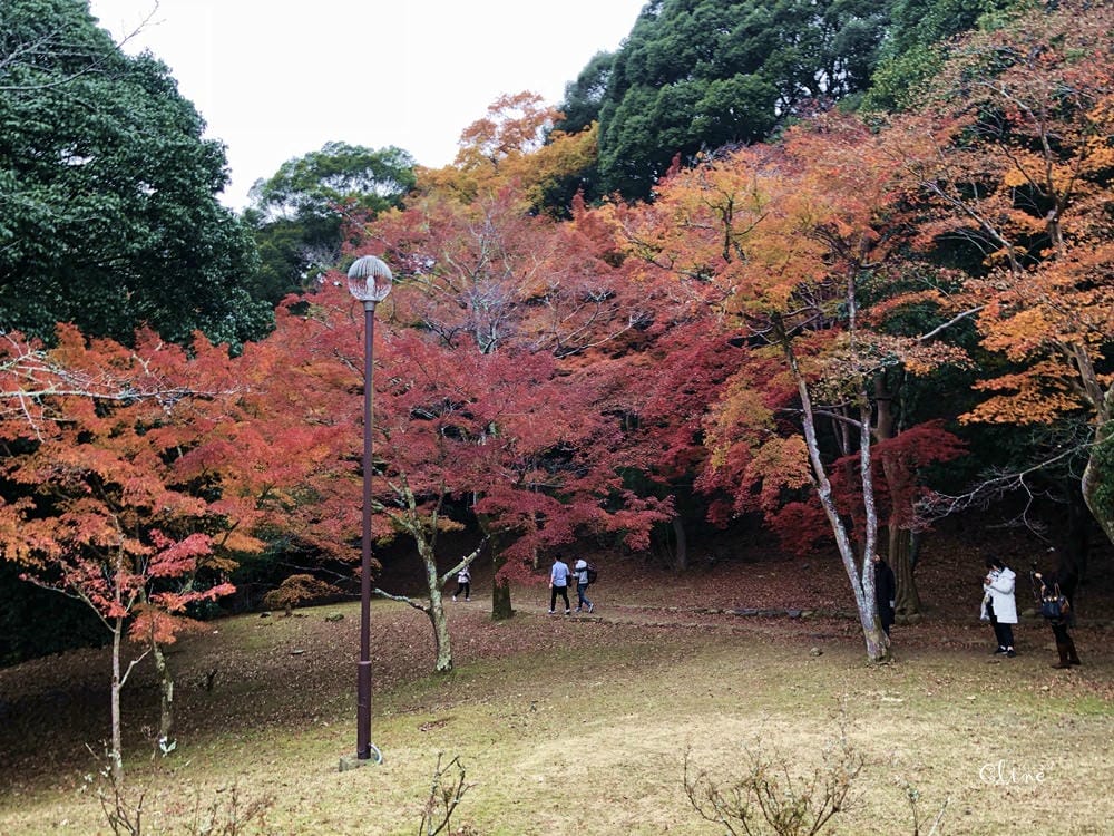 【2017京都賞楓自由行】京都嵐山小火車、嵐山公園、常寂光寺賞楓半日遊 - 第44張圖 【2017京都賞楓自由行】京都嵐山小火車、嵐山公園、常寂光寺賞楓半日遊