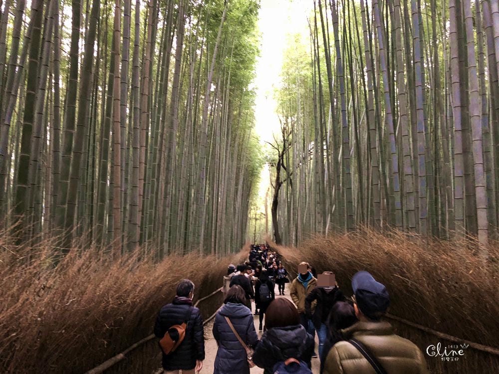 【2017京都賞楓自由行】京都嵐山小火車、嵐山公園、常寂光寺賞楓半日遊 - 第46張圖 【2017京都賞楓自由行】京都嵐山小火車、嵐山公園、常寂光寺賞楓半日遊