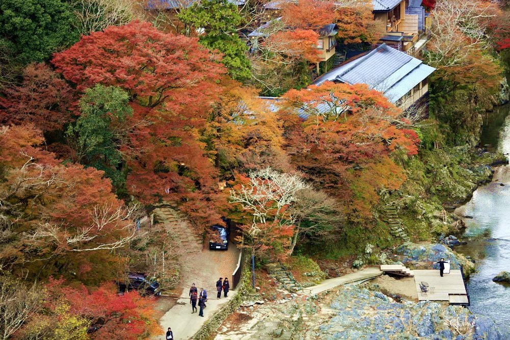 【2017京都賞楓自由行】京都嵐山小火車、嵐山公園、常寂光寺賞楓半日遊 - 第40張圖 【2017京都賞楓自由行】京都嵐山小火車、嵐山公園、常寂光寺賞楓半日遊
