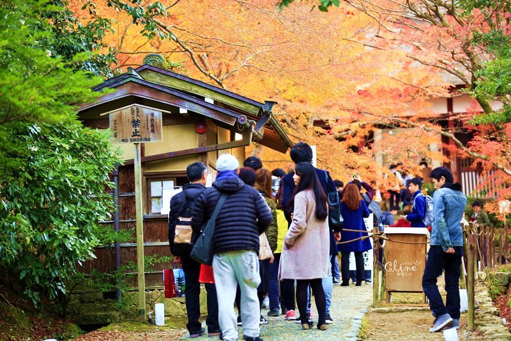 【2017京都賞楓自由行】京都嵐山小火車、嵐山公園、常寂光寺賞楓半日遊 - 第57張圖 【2017京都賞楓自由行】京都嵐山小火車、嵐山公園、常寂光寺賞楓半日遊