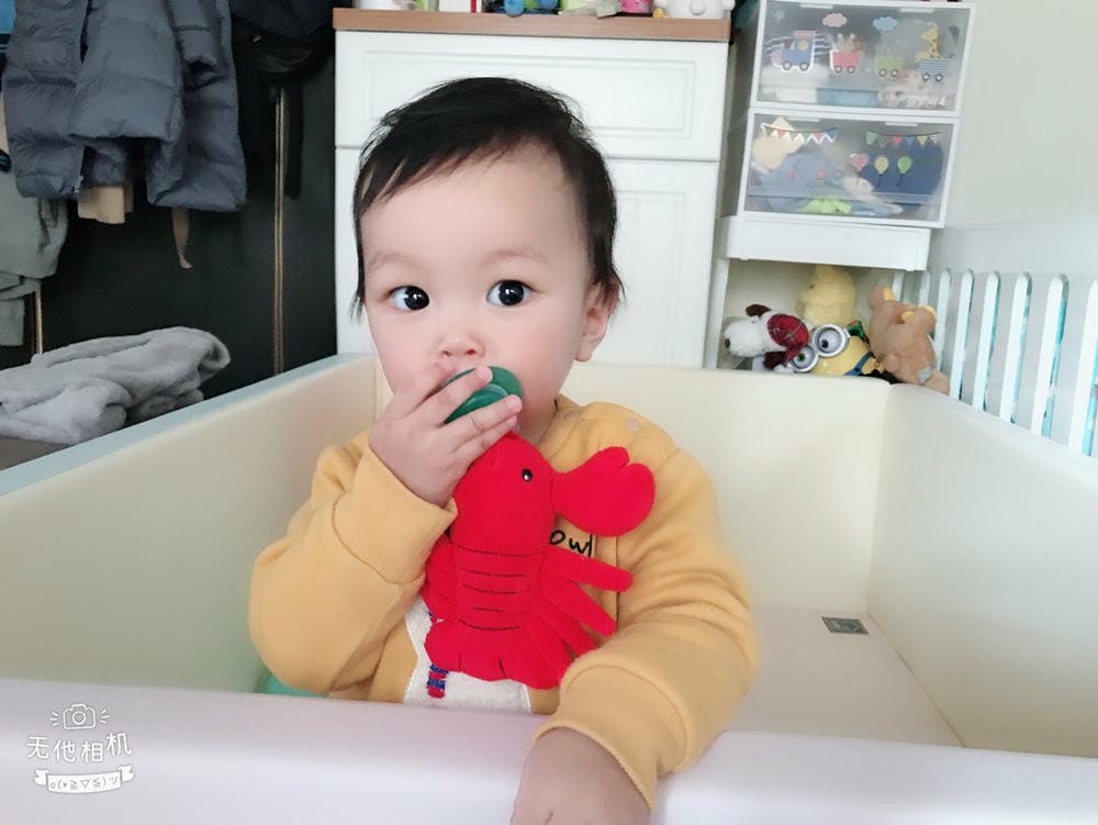 ▌已結團▌寶寶安撫好物【加拿大Loulou Lollipop下午茶固齒器＆美國Nookums安撫奶嘴玩偶】1/18~1/23
