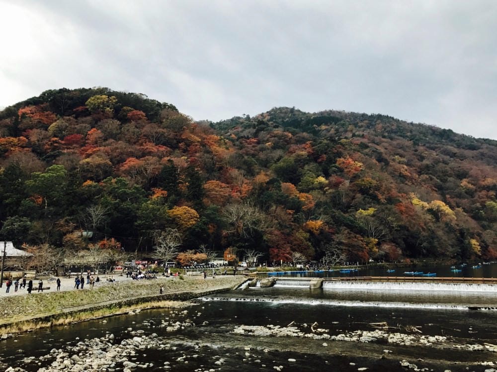 【2017京都賞楓自由行】京都嵐山小火車、嵐山公園、常寂光寺賞楓半日遊 - 第14張圖 【2017京都賞楓自由行】京都嵐山小火車、嵐山公園、常寂光寺賞楓半日遊