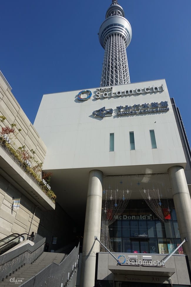 ▌東京自由行▌2018東京親子行懶人包。東京銀杏景點、親子行程、住宿分享