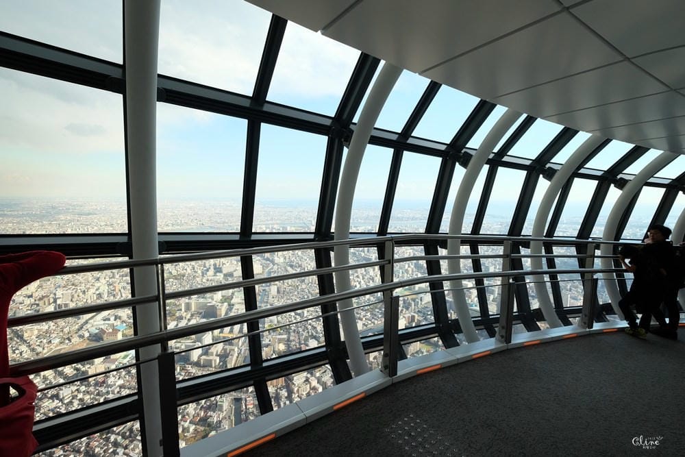▌東京自由行▌2018東京親子行懶人包。東京銀杏景點、親子行程、住宿分享