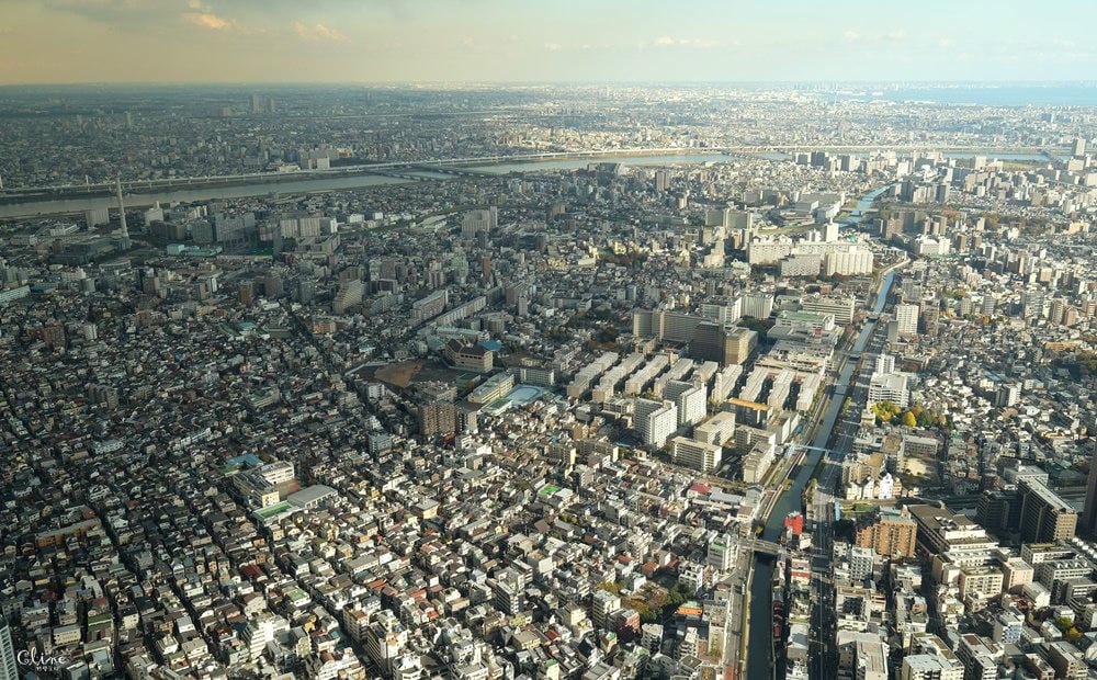 ▌東京自由行▌2018東京親子行懶人包。東京銀杏景點、親子行程、住宿分享
