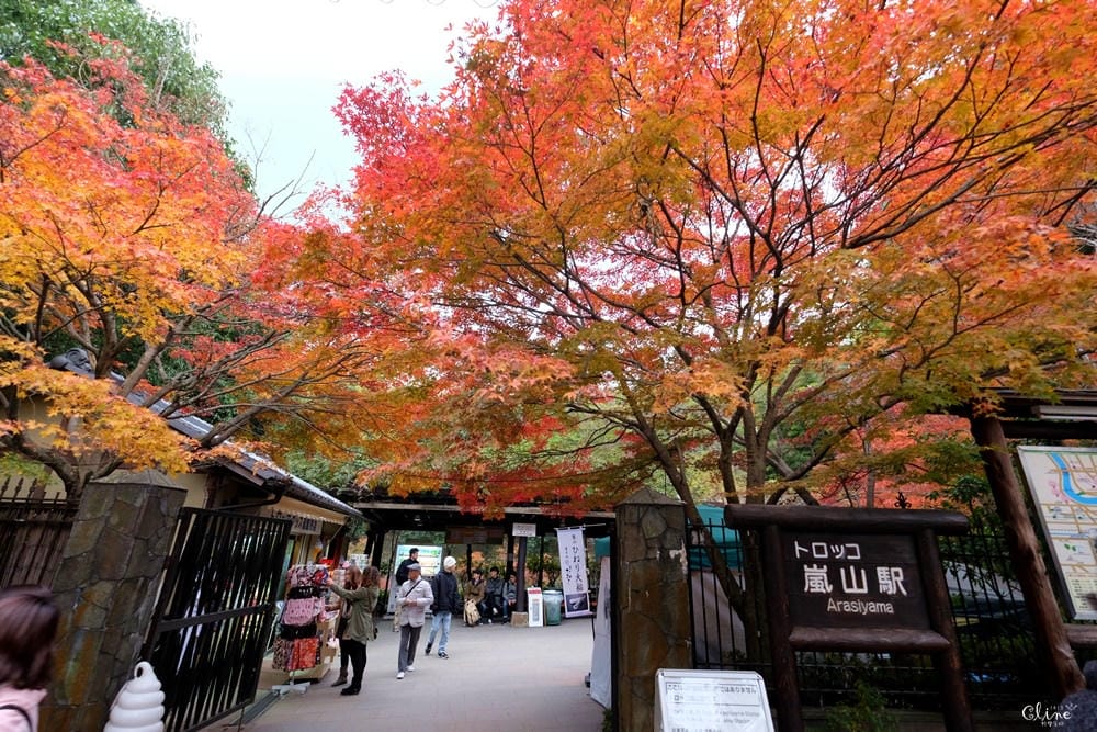 ▌京都賞楓▌2017京都必訪賞楓景點、賞楓行程、京都近郊景點分享