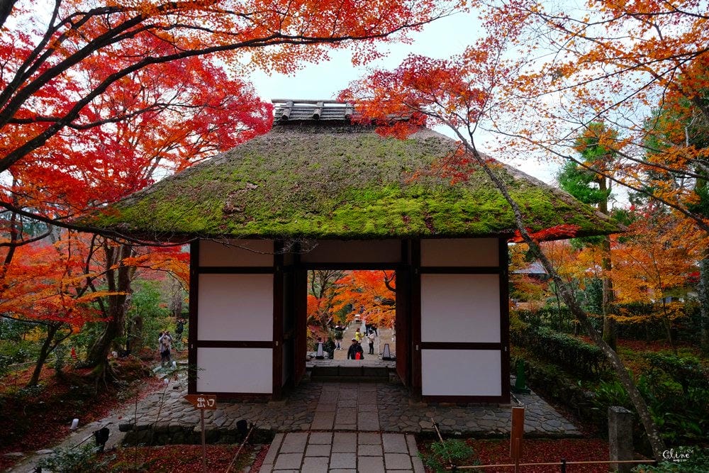 ▌京都賞楓▌2017京都必訪賞楓景點、賞楓行程、京都近郊景點分享