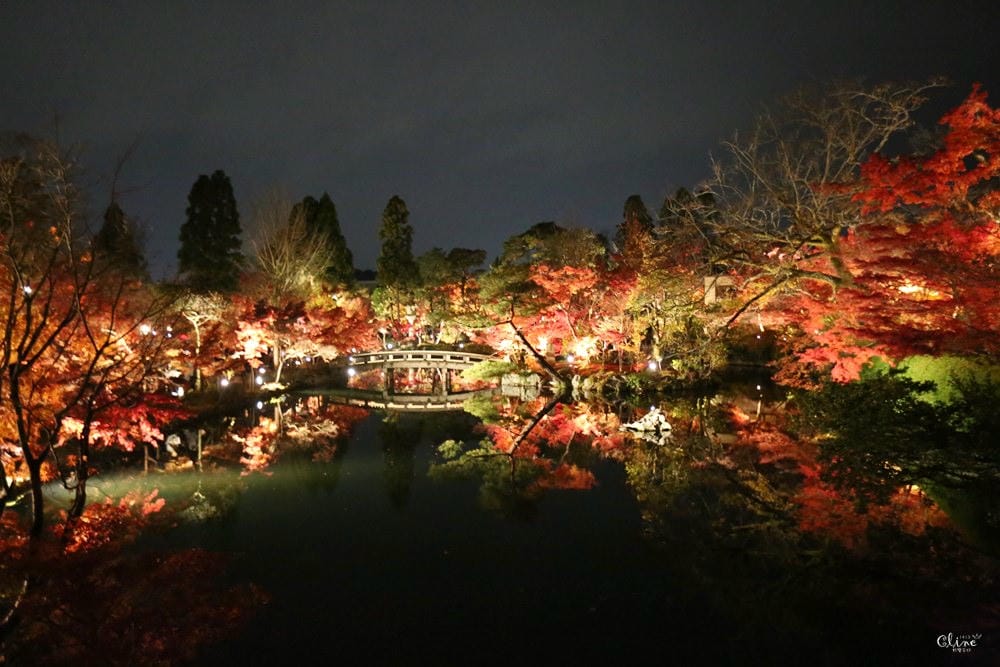 ▌京都賞楓▌2017京都必訪賞楓景點、賞楓行程、京都近郊景點分享