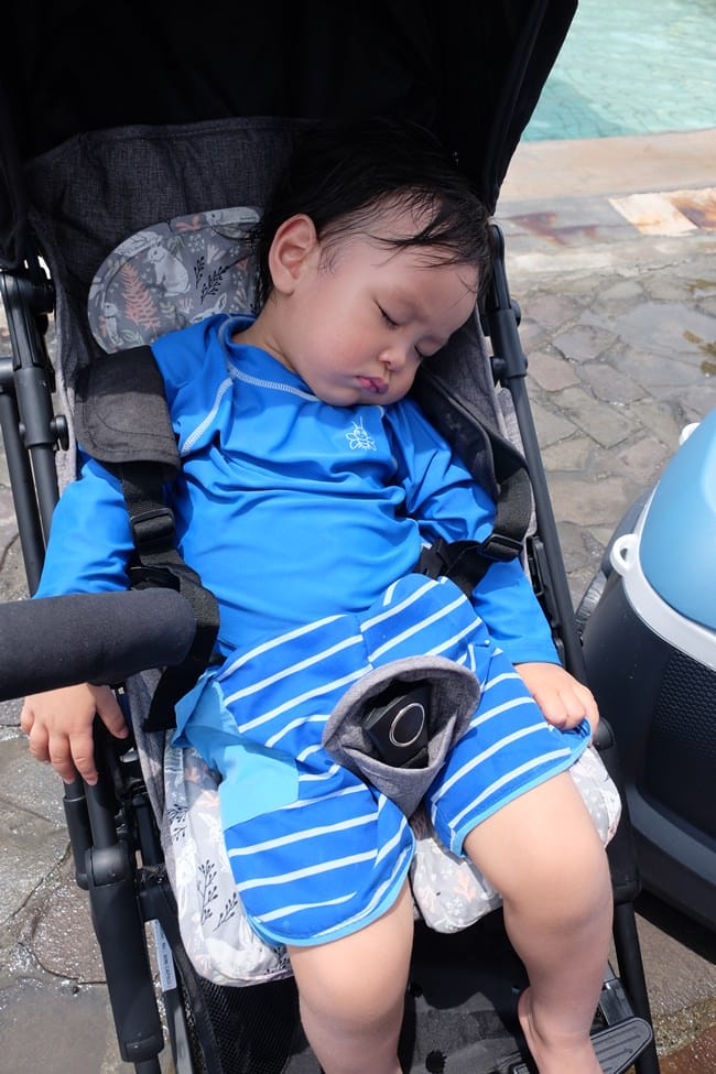 ▌已結團▌夏日涼感好物！韓國 JellySeat 多功能嬰兒涼感UP果凍涼墊X Jelly Pop超涼感果凍嬰幼兒枕