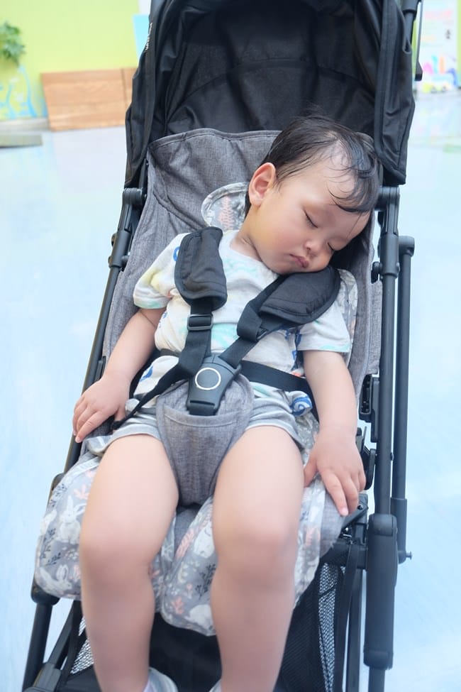 ▌已結團▌夏日涼感好物！韓國 JellySeat 多功能嬰兒涼感UP果凍涼墊X Jelly Pop超涼感果凍嬰幼兒枕