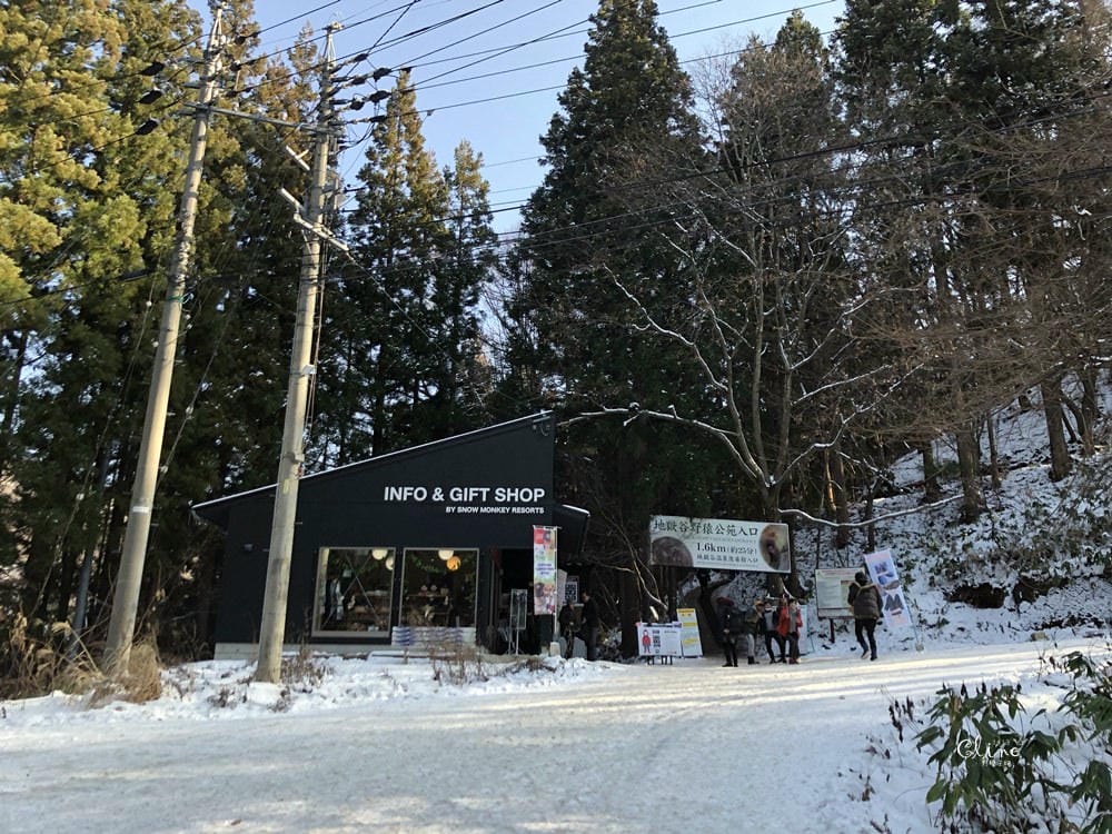▎日本滑雪中毒者▎亞洲最大滑雪場【志賀高原燒額山王子大飯店】X地獄谷看雪猴泡溫泉